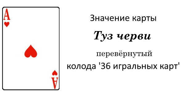 Сочетание туз червей. Туз червей значение карты. Туз черви значение. Что значит карта туз черви. Перевёрнутый черви перевернутый значение туз.